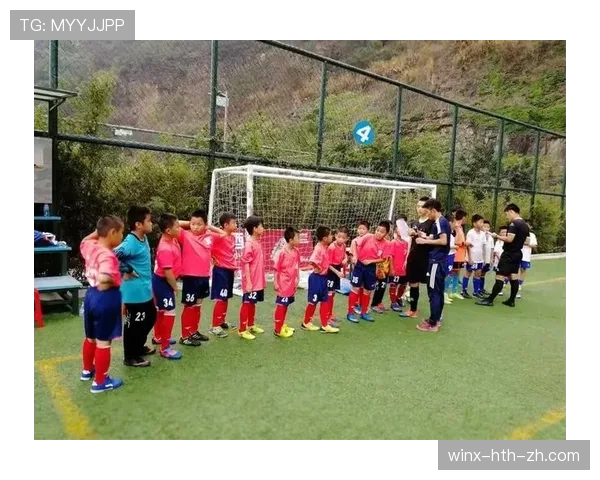 手抛球规则解析：裁判判罚依据与执行标准详解